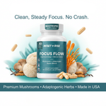 Nootropic Brain Supplement with Lion’s Mane Mushroom, Cordyceps & Rhodiola Rosea Extract - Focus and Energy Supplement, Adaptogen for Brain Health, Mental Clarity, Memory & Mood Support - 60 Capsules